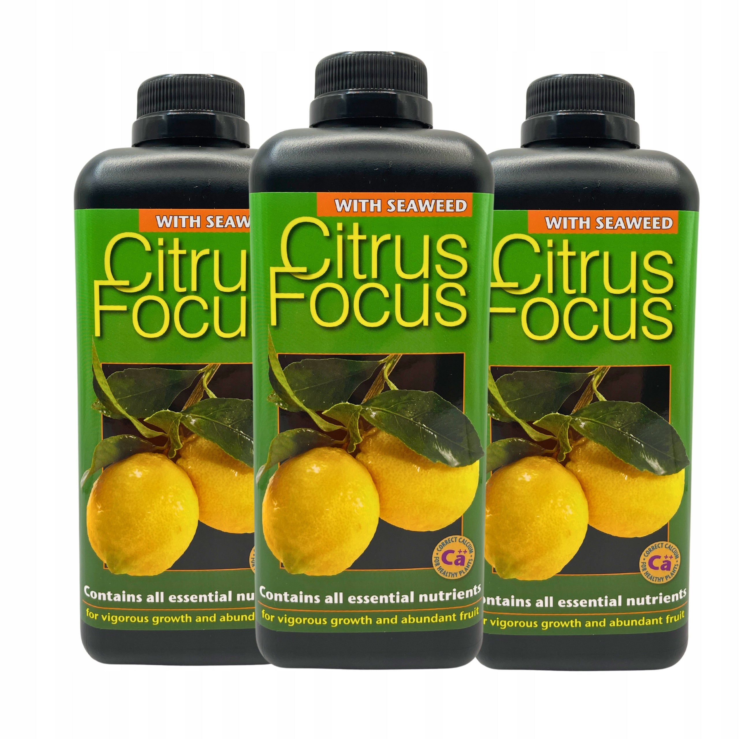 Citrus plant fertilizer CITRUS FOCUS 1L Growth Technology for citrus Manufacturer code Citrus Focus 1l