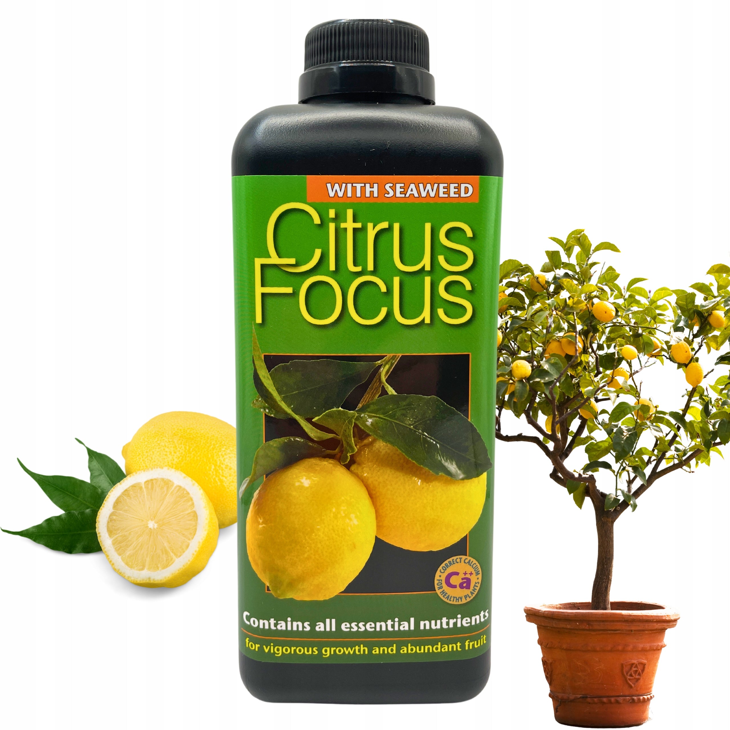 Citrus plant fertilizer CITRUS FOCUS 1L Growth Technology for citrus