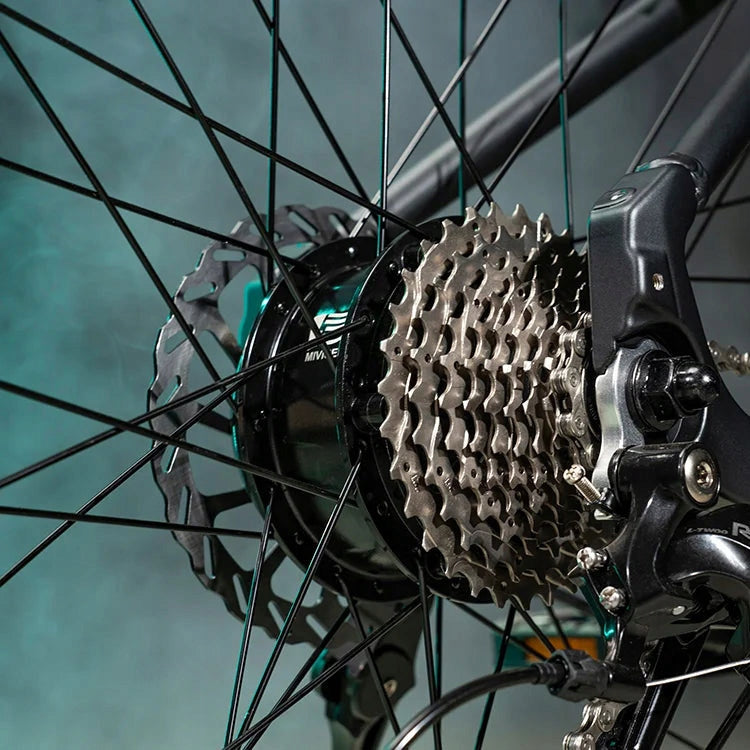 City electric bike FIIDO C21 (28'') Grey L Authorized Shop Maximum rated power electric bike (under 250W)