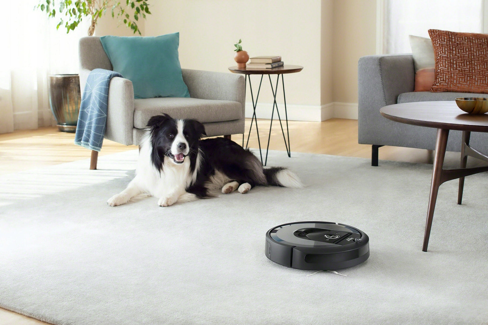 Cleaning robot iRobot Roomba i7150 (i715040) new without base Manufacturer code i715040