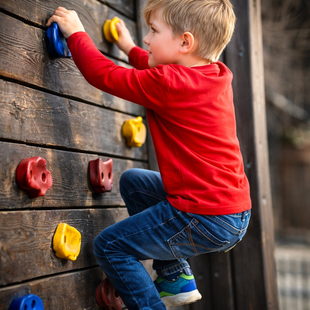 Climbing Stones 39pcs Climbing Handles 6pcs Kids Screws Packaging status original