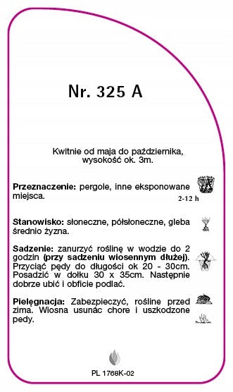 Climbing rose 325 nursery labels Color other