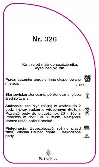 Climbing rose 326 nursery labels Color other