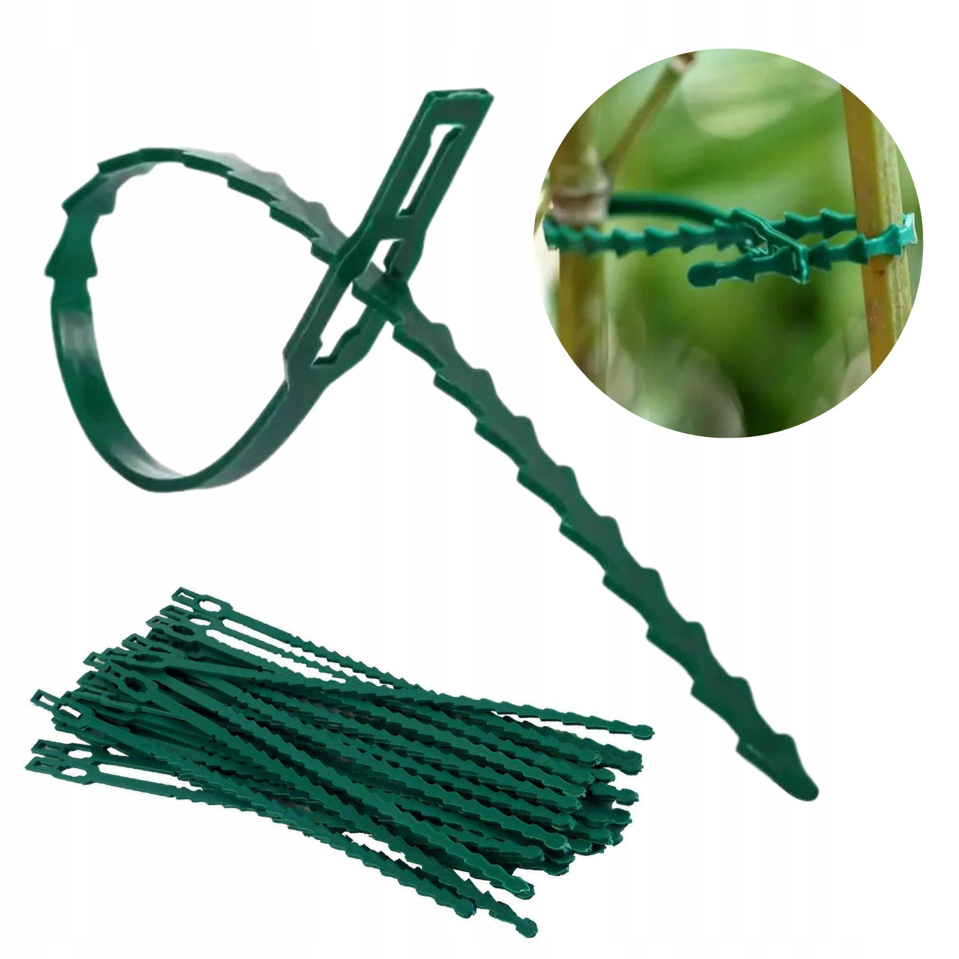 Clips Bands Garden Clamp Clips for Plants Stem Attachment 20zt