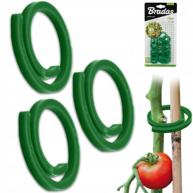 Clips Fasteners for fixing poles plants Bradas green 50 pcs TYK31 Color green