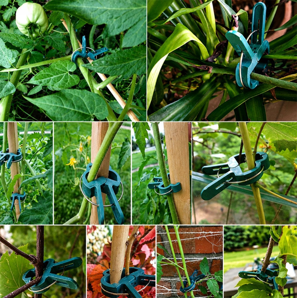 Clips Handles Clamps for Fixing Plants Clamps Handles Tomatoes 20pcs Color green