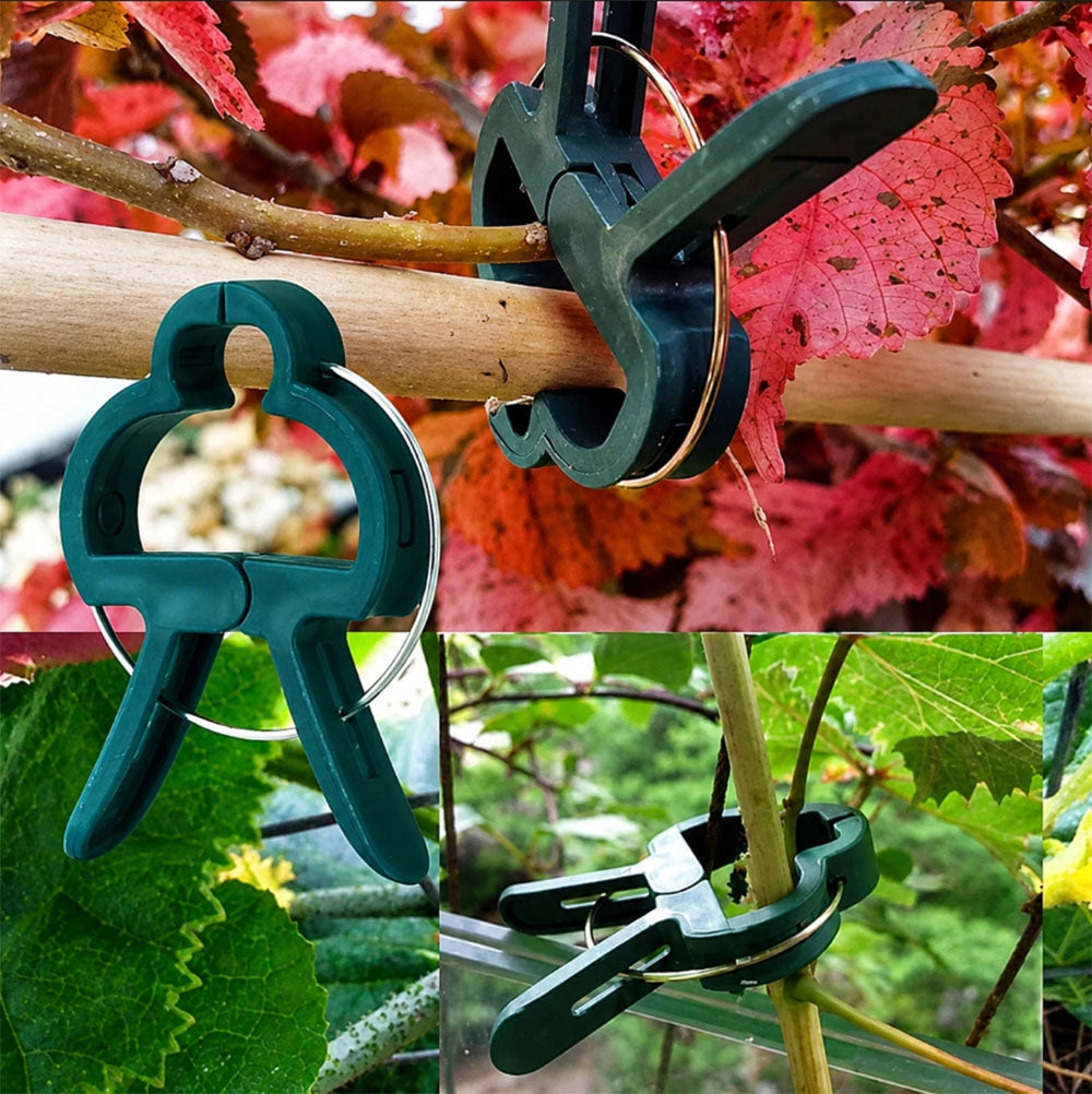 Clips Handles Clamps for Fixing Plants Clamps Handles Tomatoes 20pcs Product height 4.5 cm