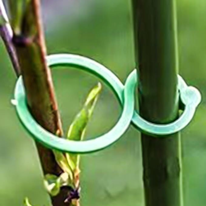 Clips for tomatoes Clips Cufflinks Shoots Plant Stem Handle STRONG 200pcs. Packaging status original
