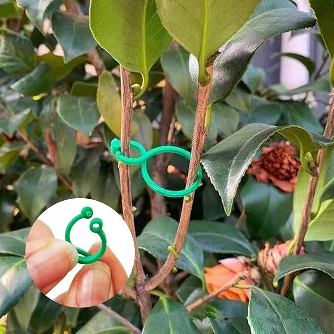 Clips for tomatoes Clips Cufflinks Shoots Plant Stem Handle STRONG 500pcs. Color green