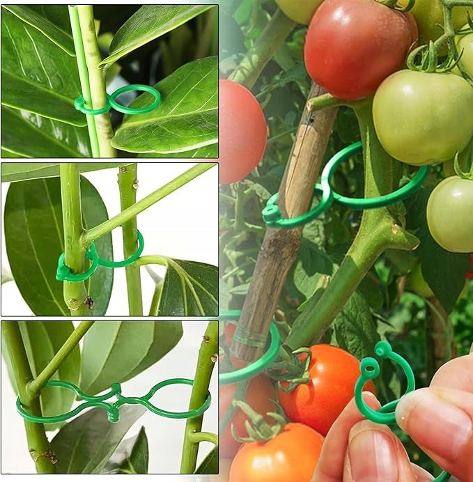 Clips for tomatoes Clips Cufflinks Shoots Plant Stem Handle STRONG 500pcs. Packaging status original