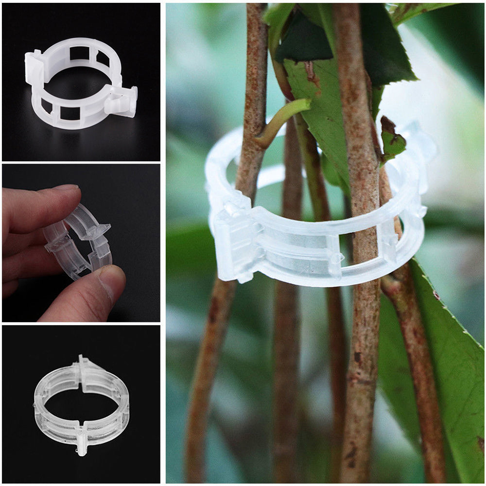 Clips for tomatoes Clips for guiding shoots of plant stems zapink 100pcs Packaging status original