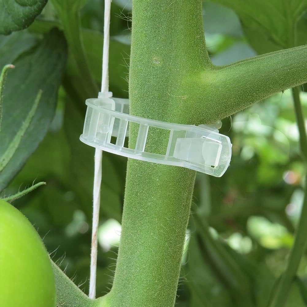 Clips handles for climbing stems - for tomatoes and plants 100 pcs. EAN (GTIN) 5907196602948