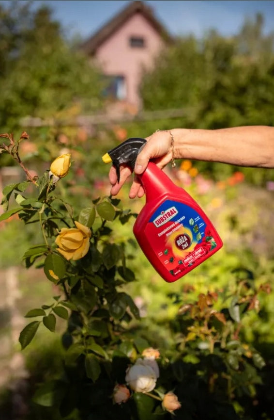 Comprehensive Protection Rose 2in1 800ml insecticidal and fungicidal SUBSTRAL Manufacturer no brand