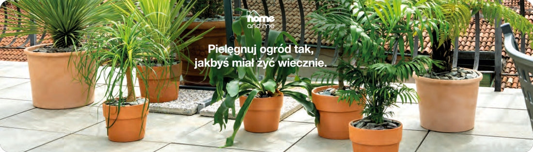 Concrete flower pot with stand Arabeska olive d. 17,5 cm Brand DMS