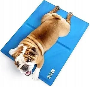 Cooling Mat for Cat Dog 65x50 cm by PETIC For Heat Blue