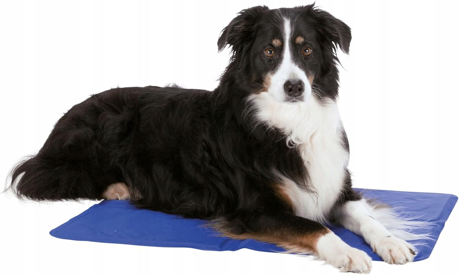 Cooling Mat for Dog Cat Animal Waterproof Gel Bed 50x40 cm Length 40 cm