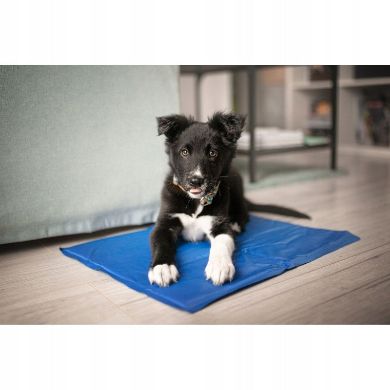Cooling mat 90x50 cm blue for SUMMER DAYS Product width 50 cm