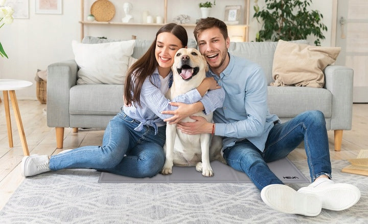 Cooling mat for cat dog gel bed waterproof HEVA GPC 90x50cm Brand HEVA