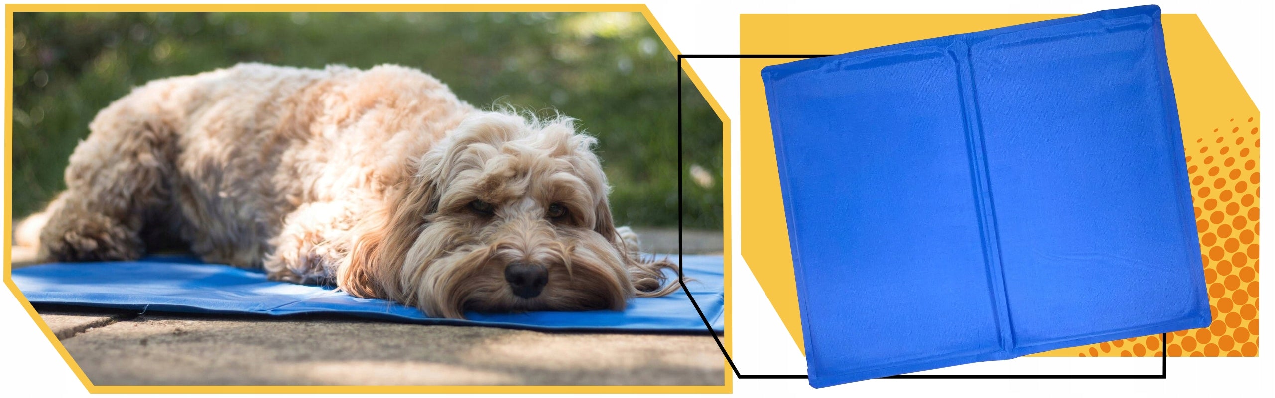 Cooling mat for rabbit cat dog seat car bed 40x50cm Model Mata chłodząca dla psa kota