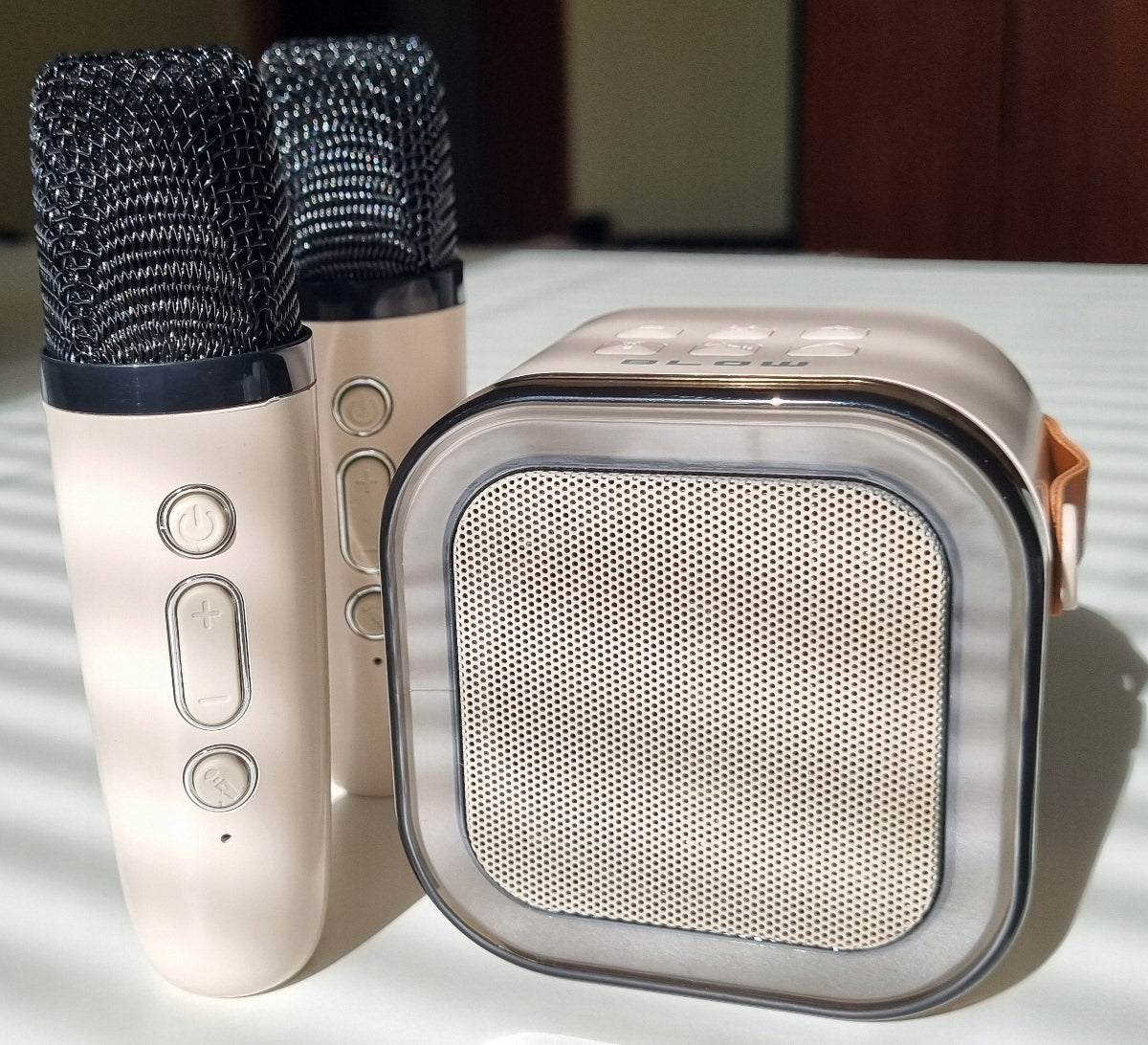 Corporate BT SPEAKER + 2 WIRELESS Microphones + Karaoke For Girls EAN (GTIN) 5907595773324