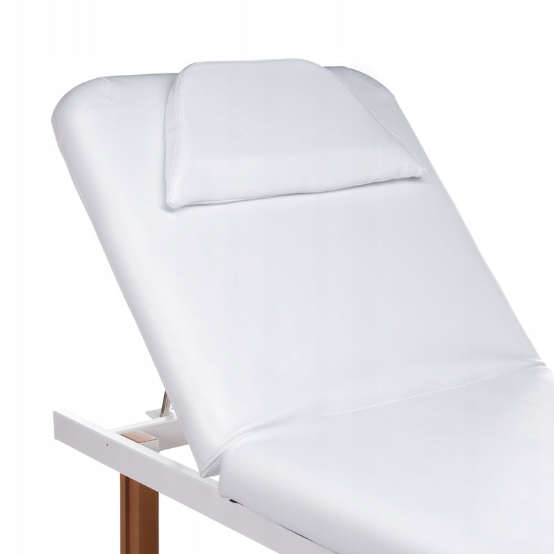 Cosmetic Couch Bed Massage Table BD-8240B Color white
