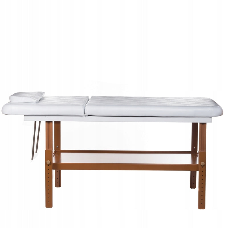 Cosmetic Couch Bed Massage Table BD-8240B Frame material wood