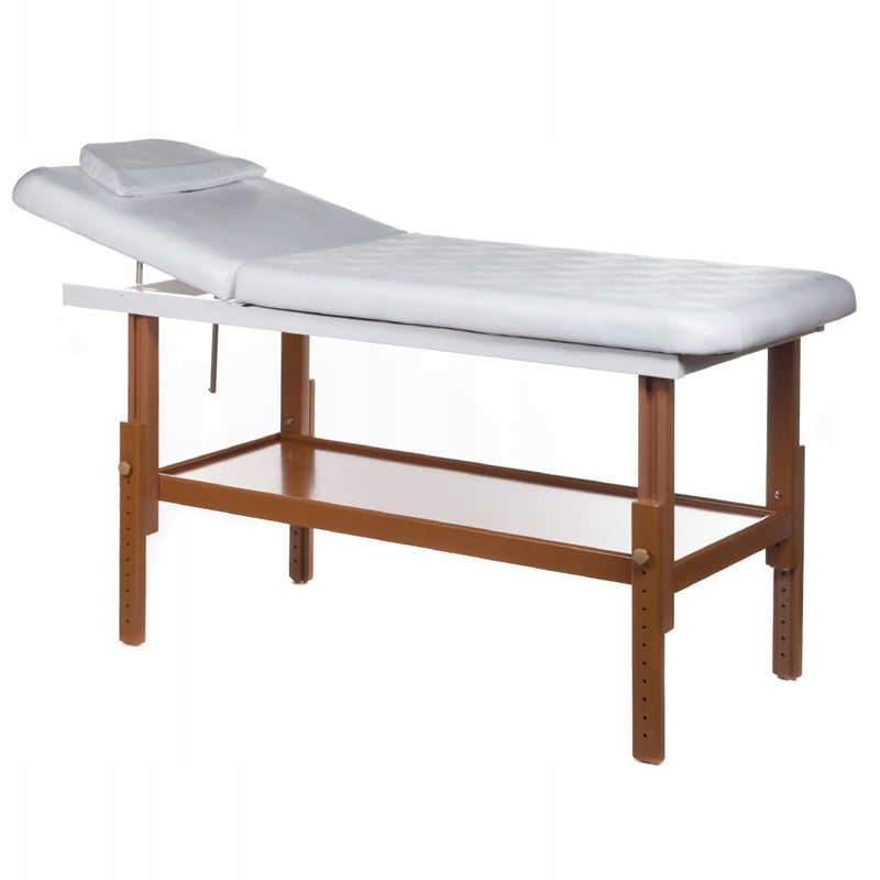 Cosmetic Couch Bed Massage Table BD-8240B
