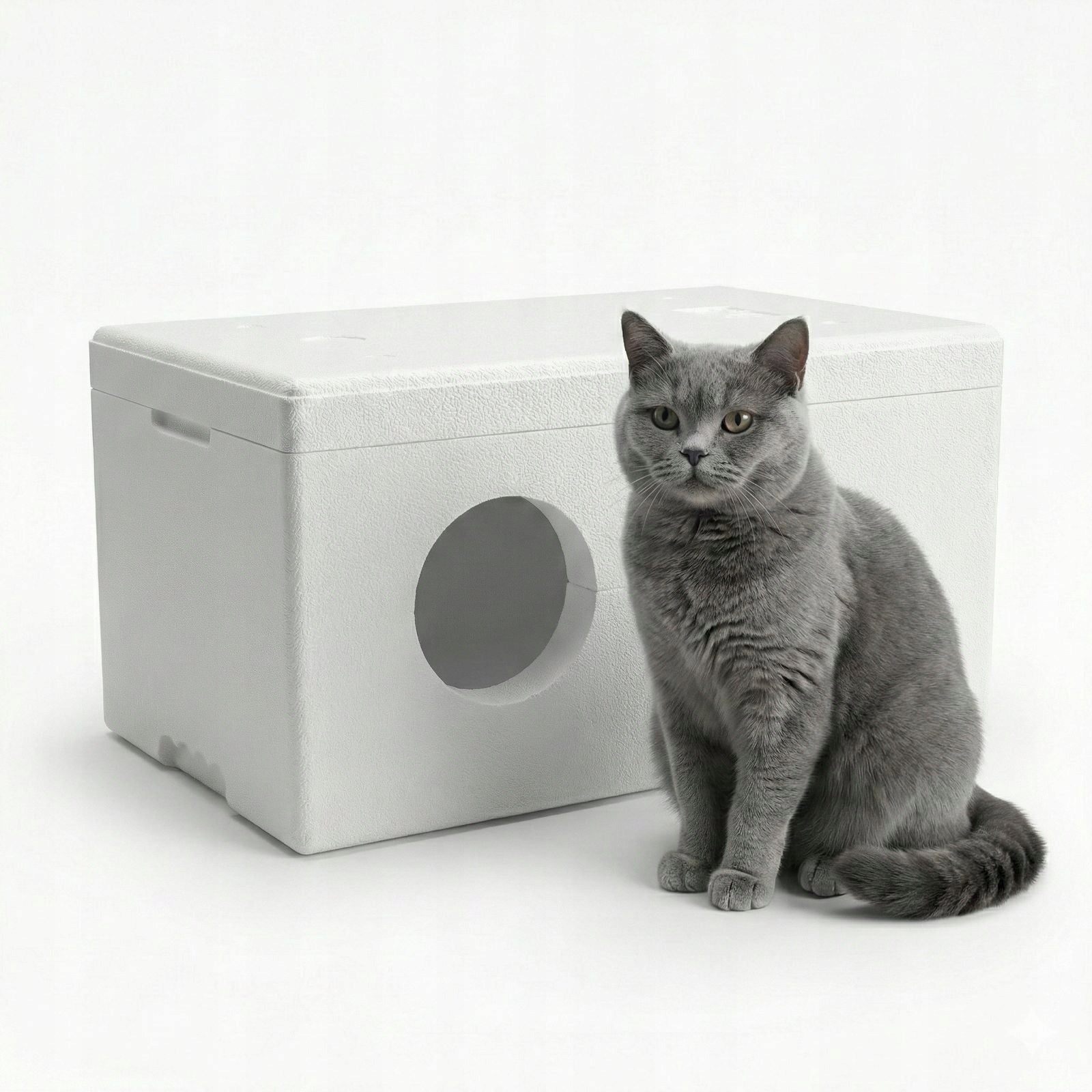 Cottage cat booth Styrofoam Box for winter 58x38x27cm