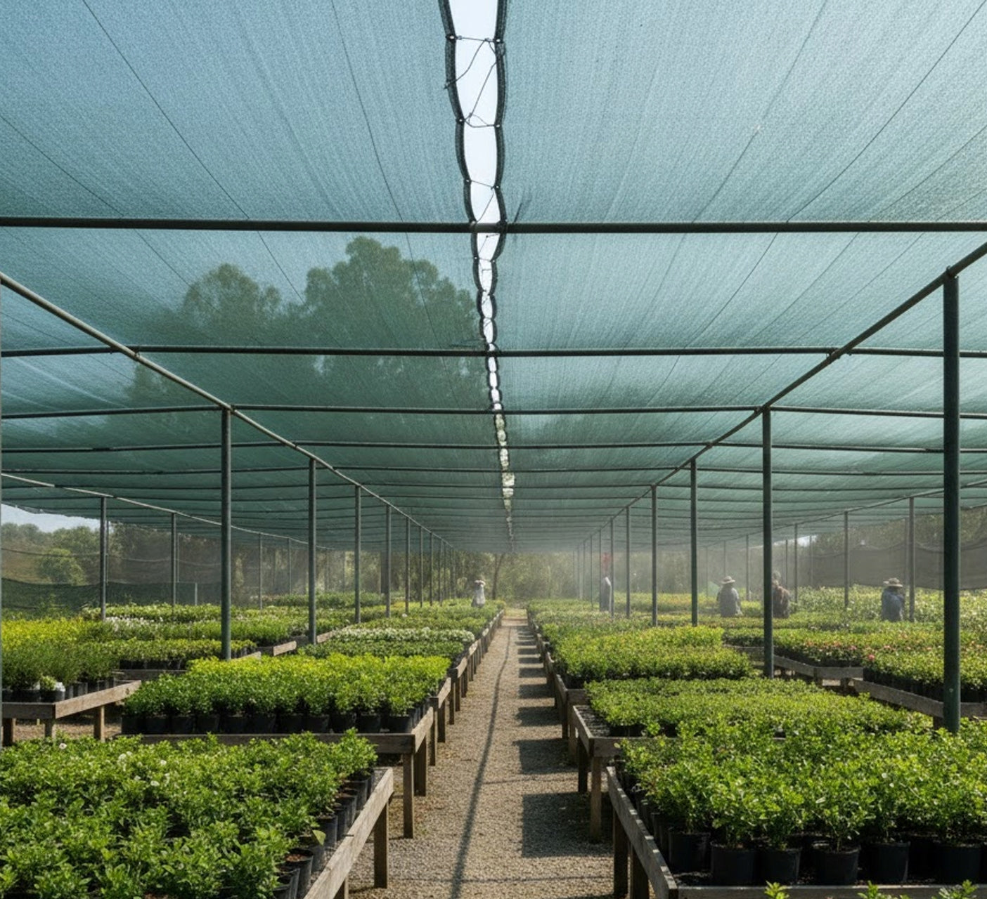 Cover Mesh 3x5m 60% Knit For Fence Giving Shadow Tunnel Greenhouse Height 3 m