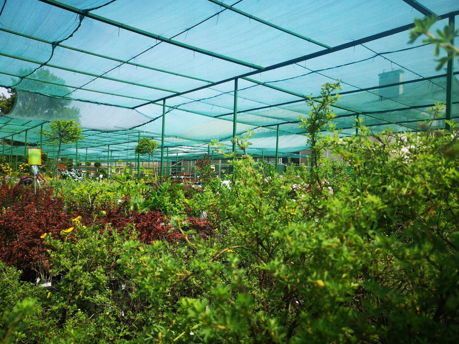 Cover Mesh 3x5m 60% Knit For Fence Giving Shadow Tunnel Greenhouse Length 5 m