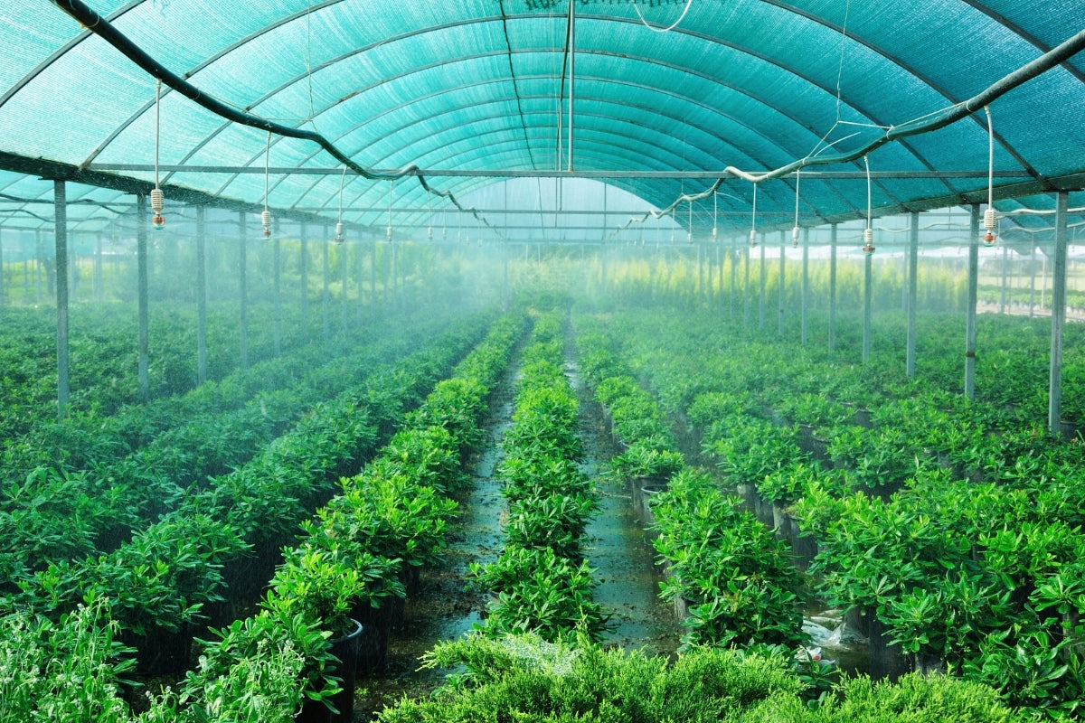 Cover Mesh 3x5m 60% Knit For Fence Giving Shadow Tunnel Greenhouse Manufacturer Grandinet