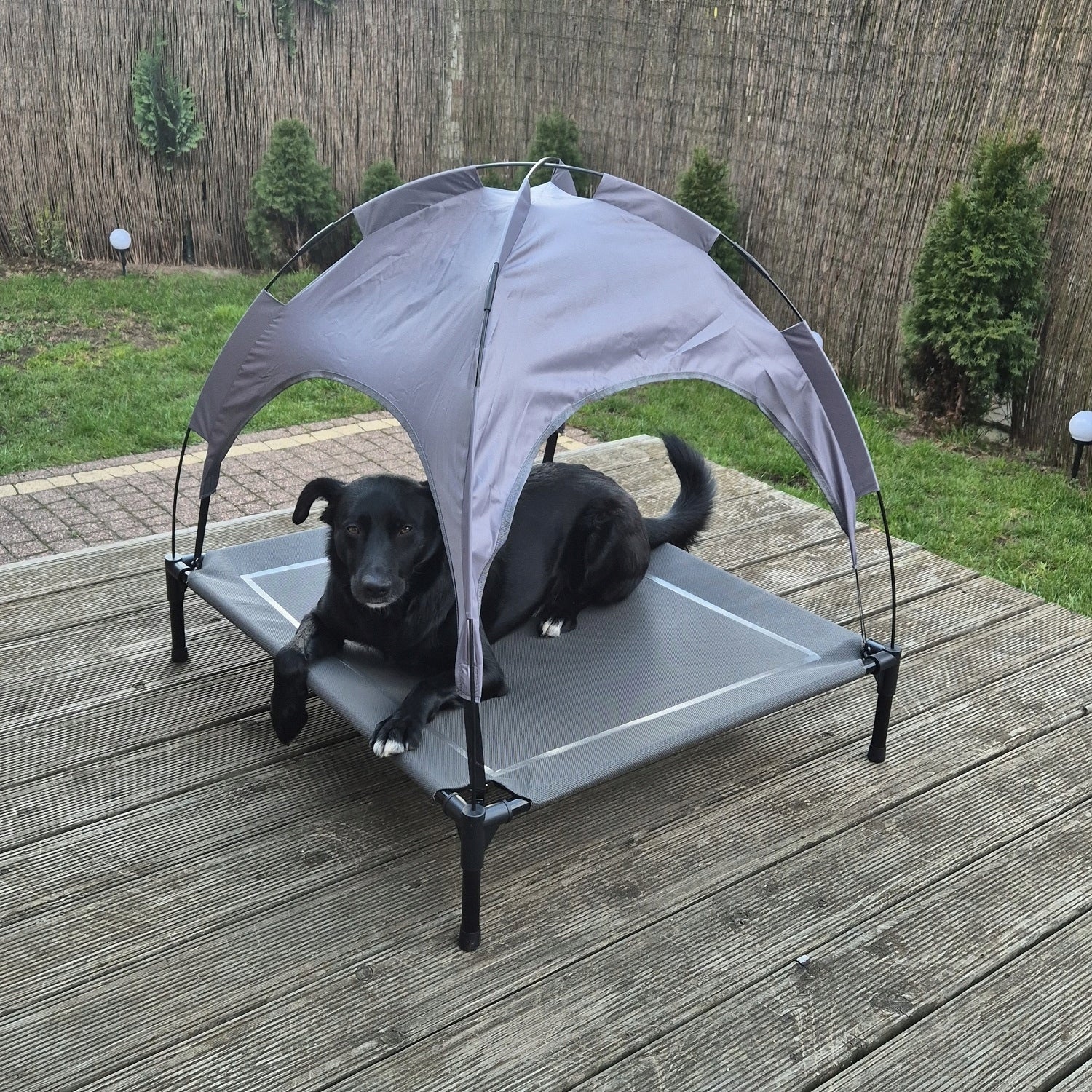 Covered Dog Bed Elevated with Canopy Tourist Mat XXL Manufacturer code 00025428