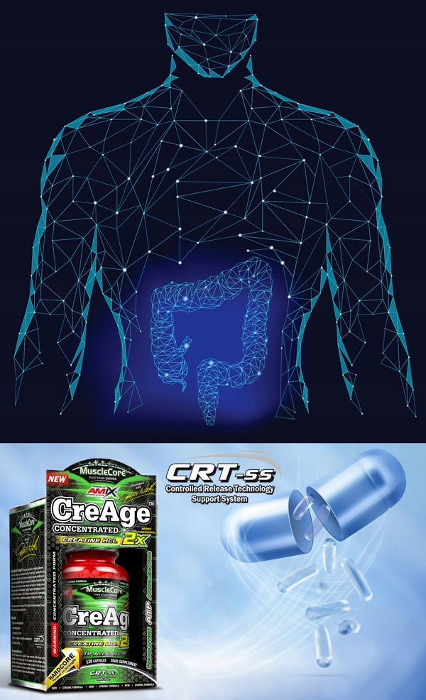 Creatine HCL Creatine Hydrochloride Capsules Creatine Capsules 120pcs Expiration date at least 1 year from the date of purchase