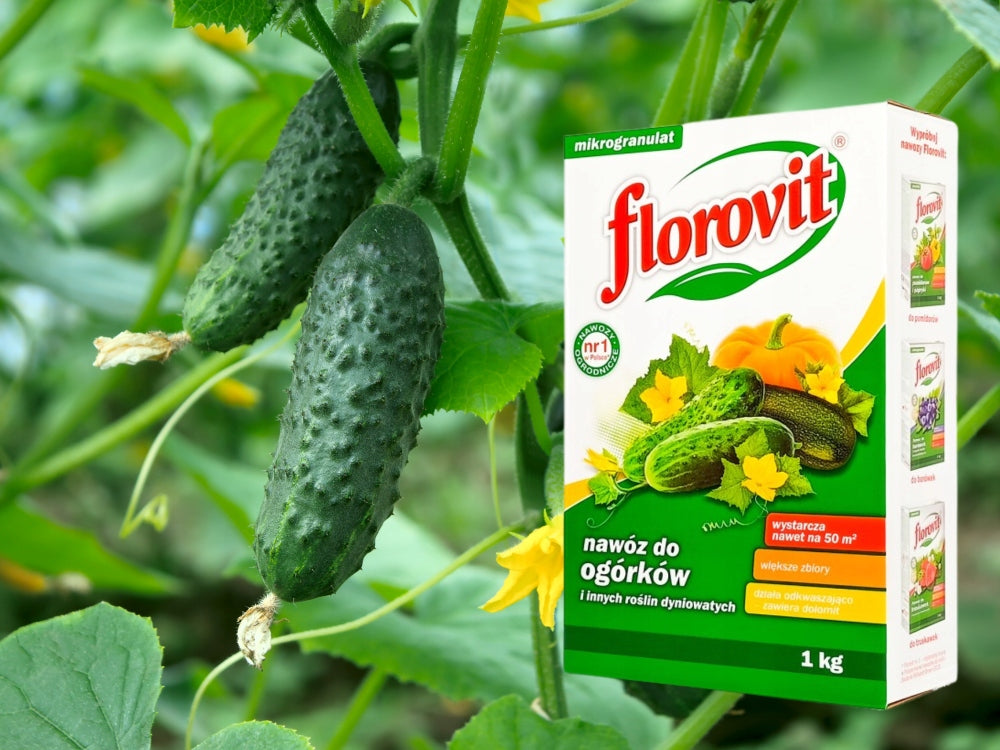 Cucumber Fertilizer Pumpkin Zucchini Watermelon Melon 1kg Florovit Manufacturer Grupa Inco