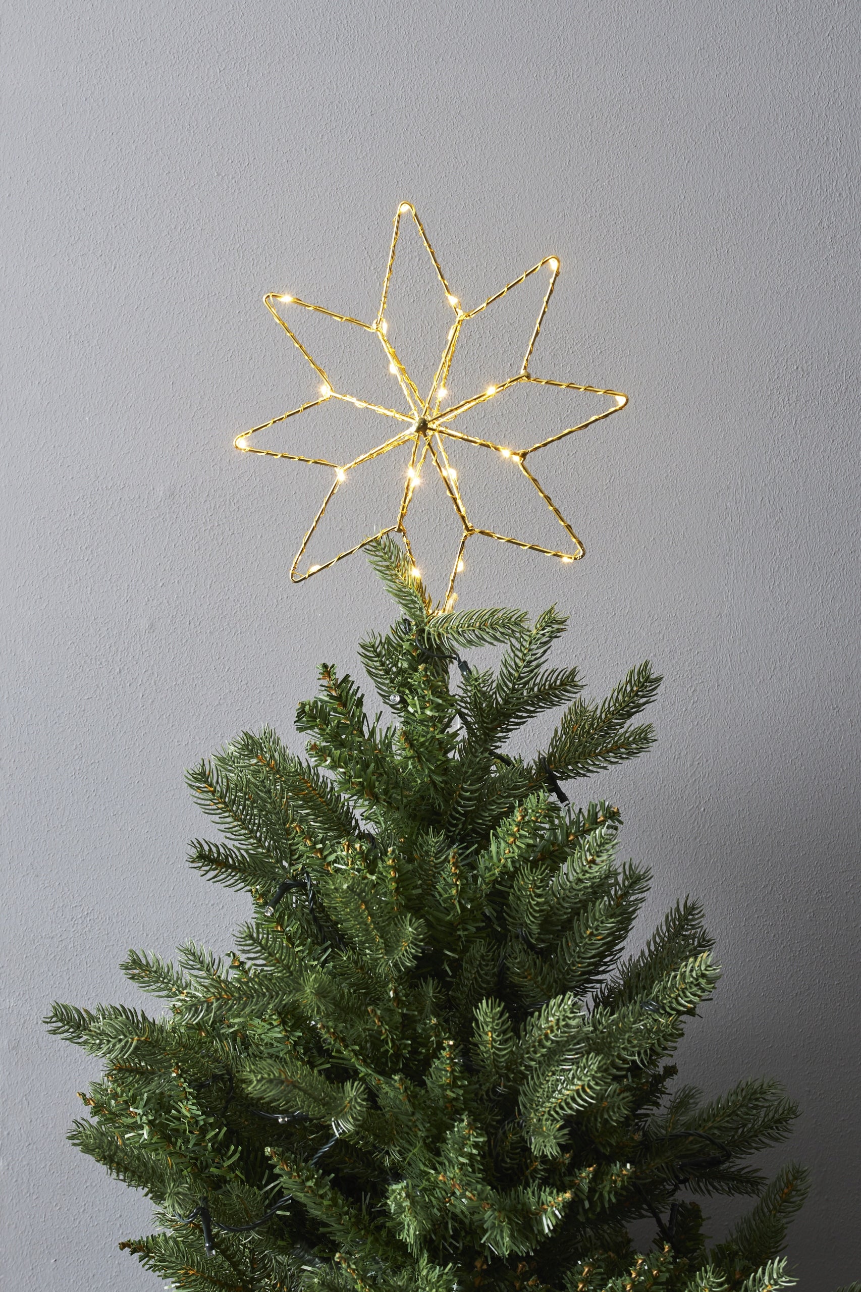 LED eglutės viršūnės puošmena, 0.84W, 23x30cm, Topsy 089-92