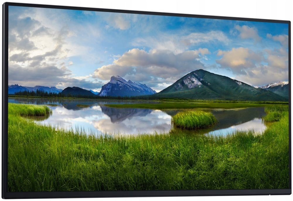 DELL Professional P2425H (210-BMTB) - BEZ STOJANU Brand Dell