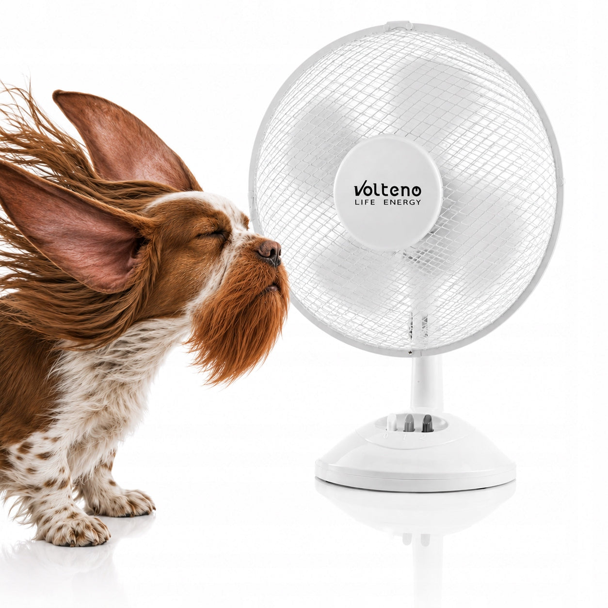 DESK FAN STANDING WINDMILL QUIET STRONG WHITE PROPELLER DIAMETER 23cm