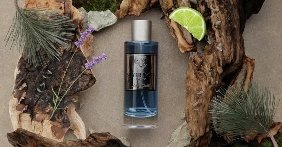 DIANE CASTEL SILVER WOLF for men Perfumed Men's Perfume EDP 100ml Brand no brand