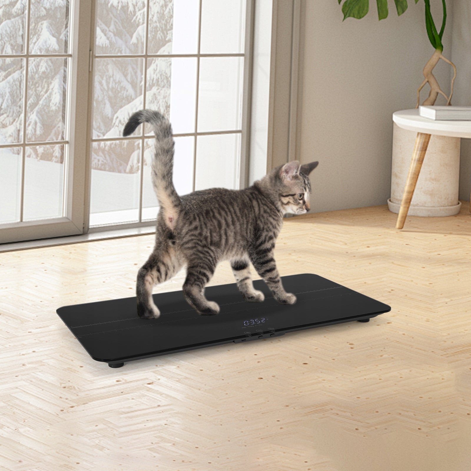 DIGITAL PET SCALE 69*33CM FOR ANIMAL WITH LED SCREEN, 50G-100KG, BLACK Packaging status original