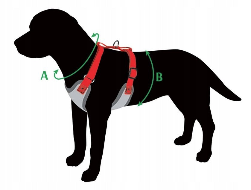 DINGO Pressure-free Harness with Two-Strap Adjustment M - Jungle Manufacturer code 5904760158870