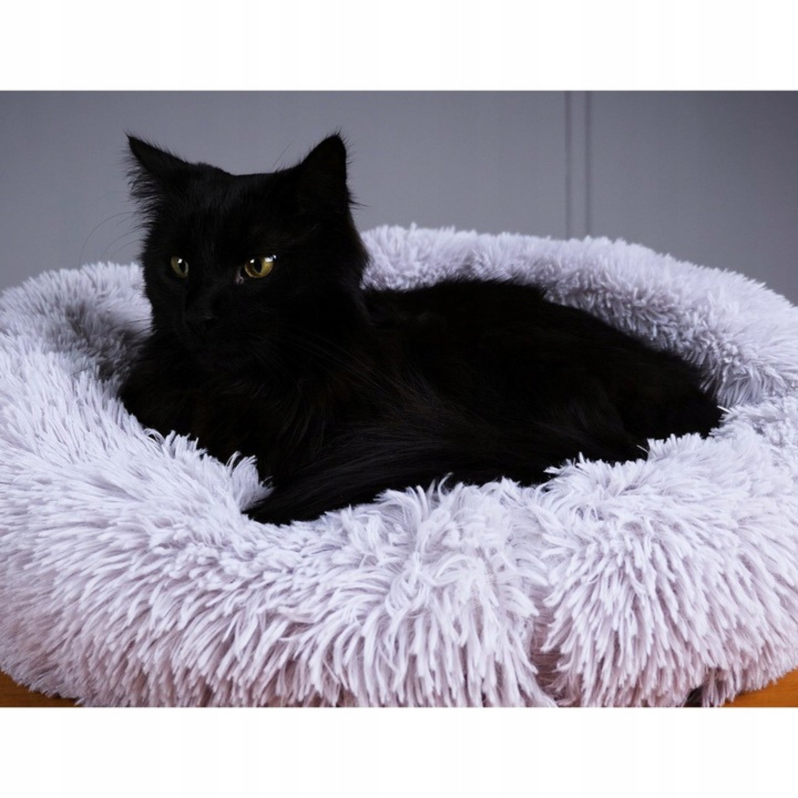 DOG AND CAT BED - WATERPROOF HAIRY - BED PILLOW 60x60cm Product width 60 cm