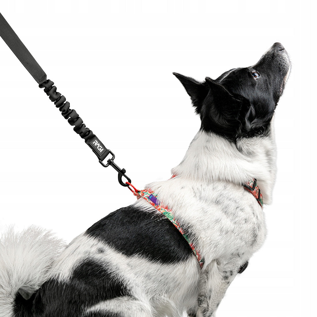 DOG AND CAT SEAT BELT LEASH FOR CAR WITH SHOCK ABSORBER Size other