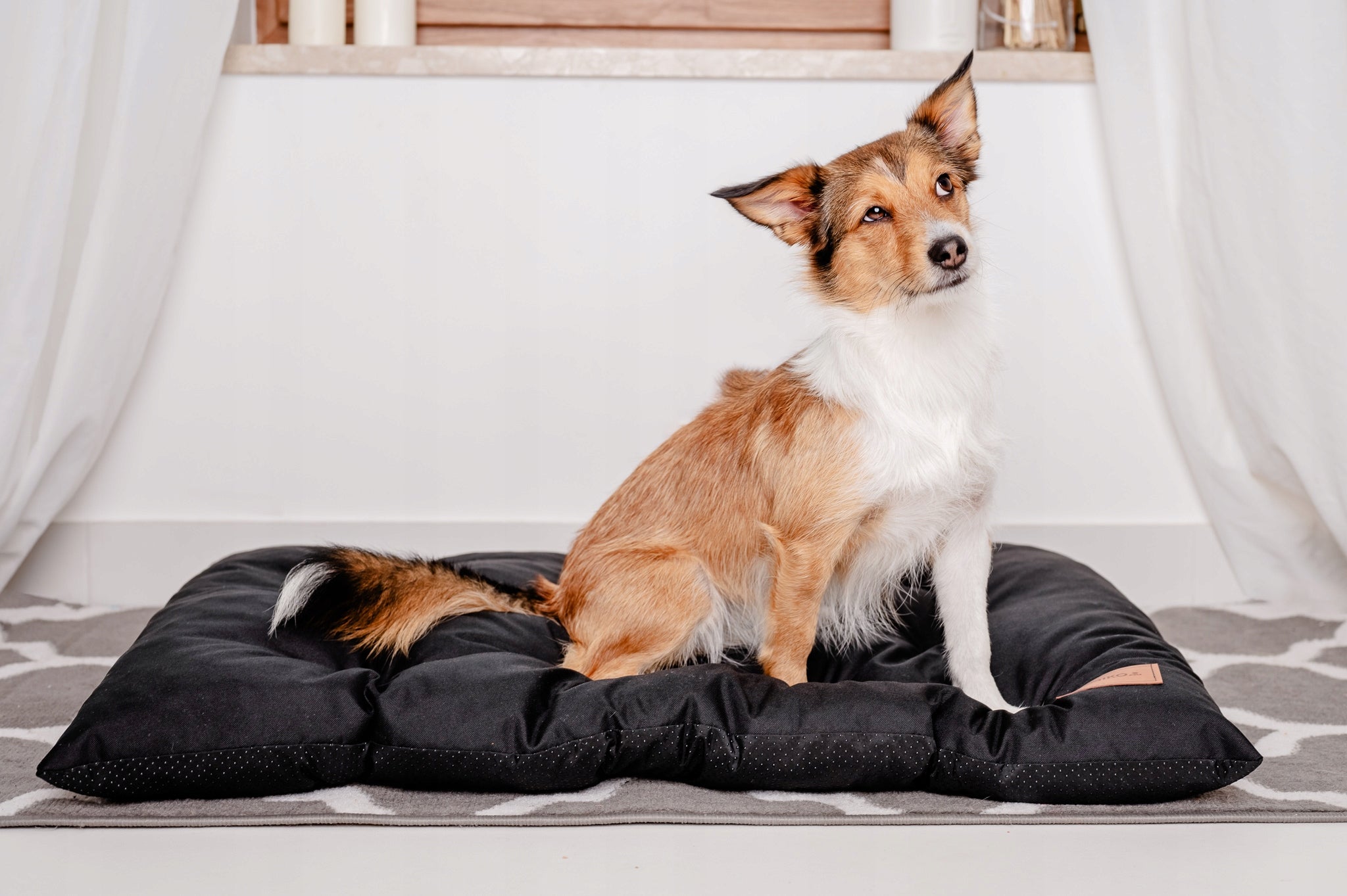 DOG BED WATERPROOF CUSHION 100 X 70cm MIMIKO PETS XL BLACK Brand Mimiko Pets
