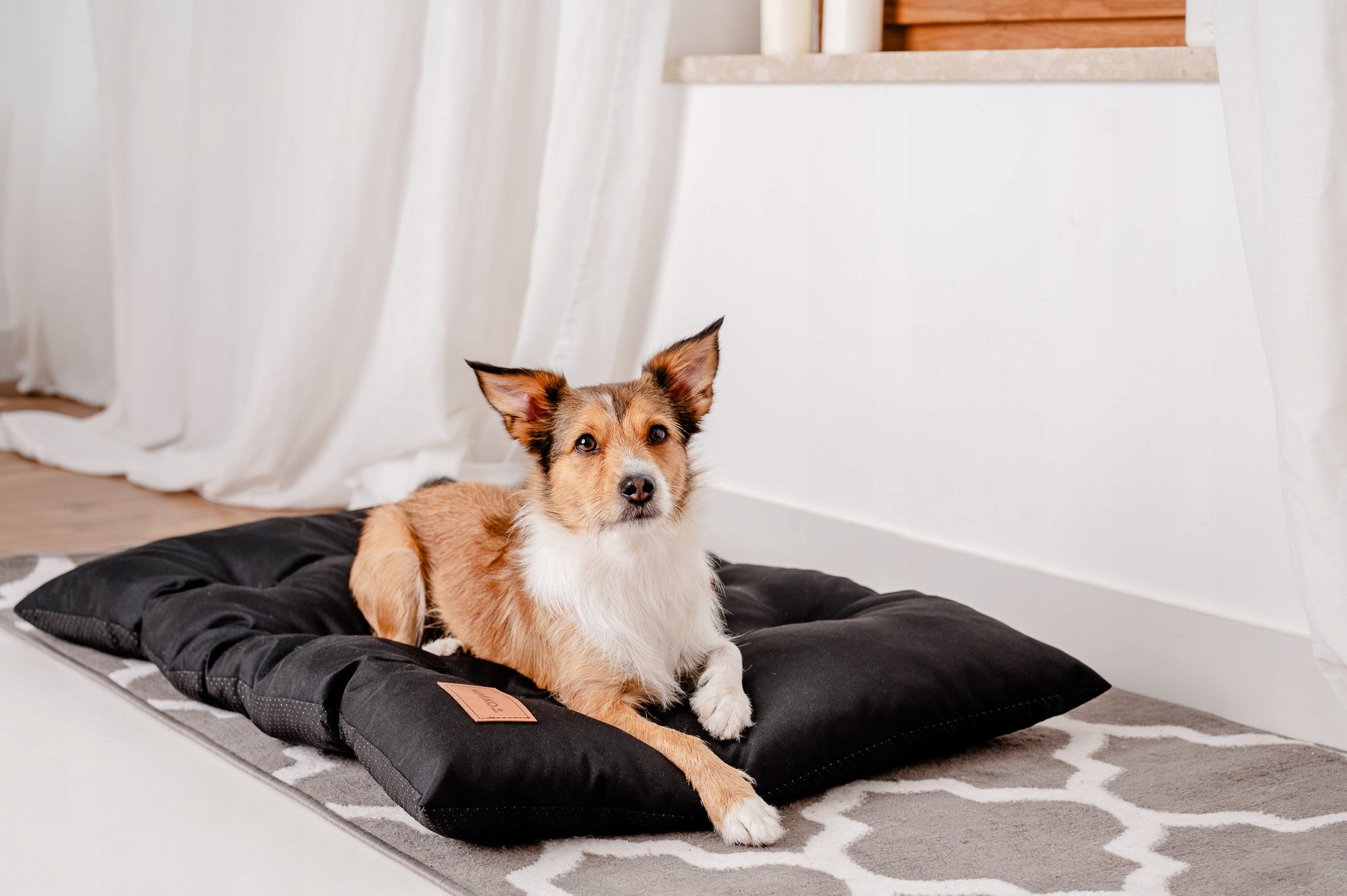DOG BED WATERPROOF CUSHION 100 X 70cm MIMIKO PETS XL BLACK Length 100 cm