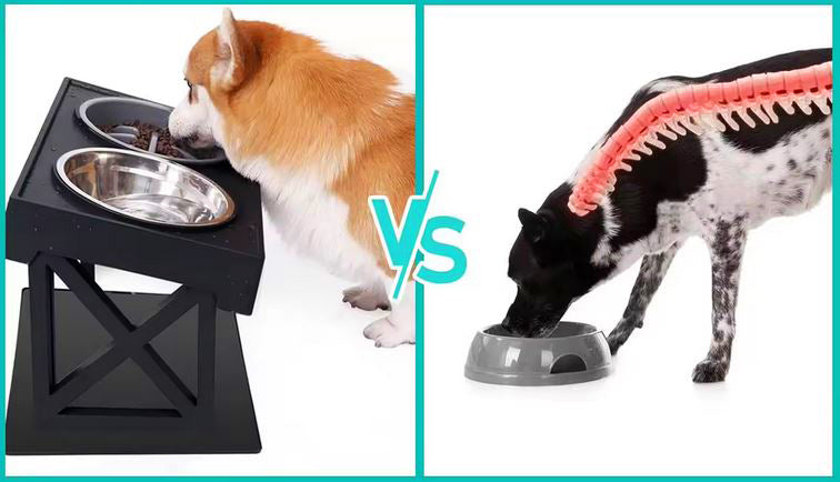 DOG BOWLS ON STAND DOUBLE BOWL ADJUSTABLE LARGE DOG 44cm 2X1L Color black