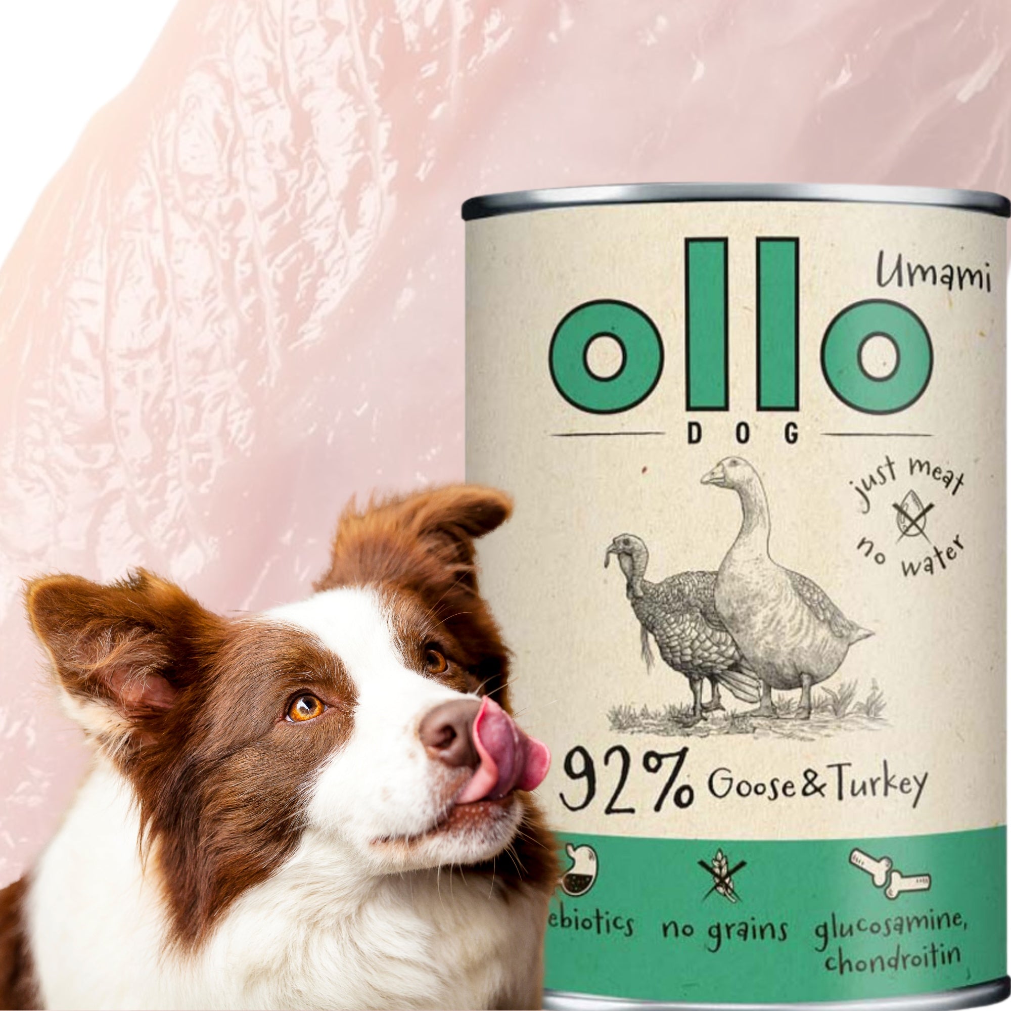 DOG CAN - Goose and Turkey OLLO UMAMI 400g ULTRAPREMIUM HEALTHY