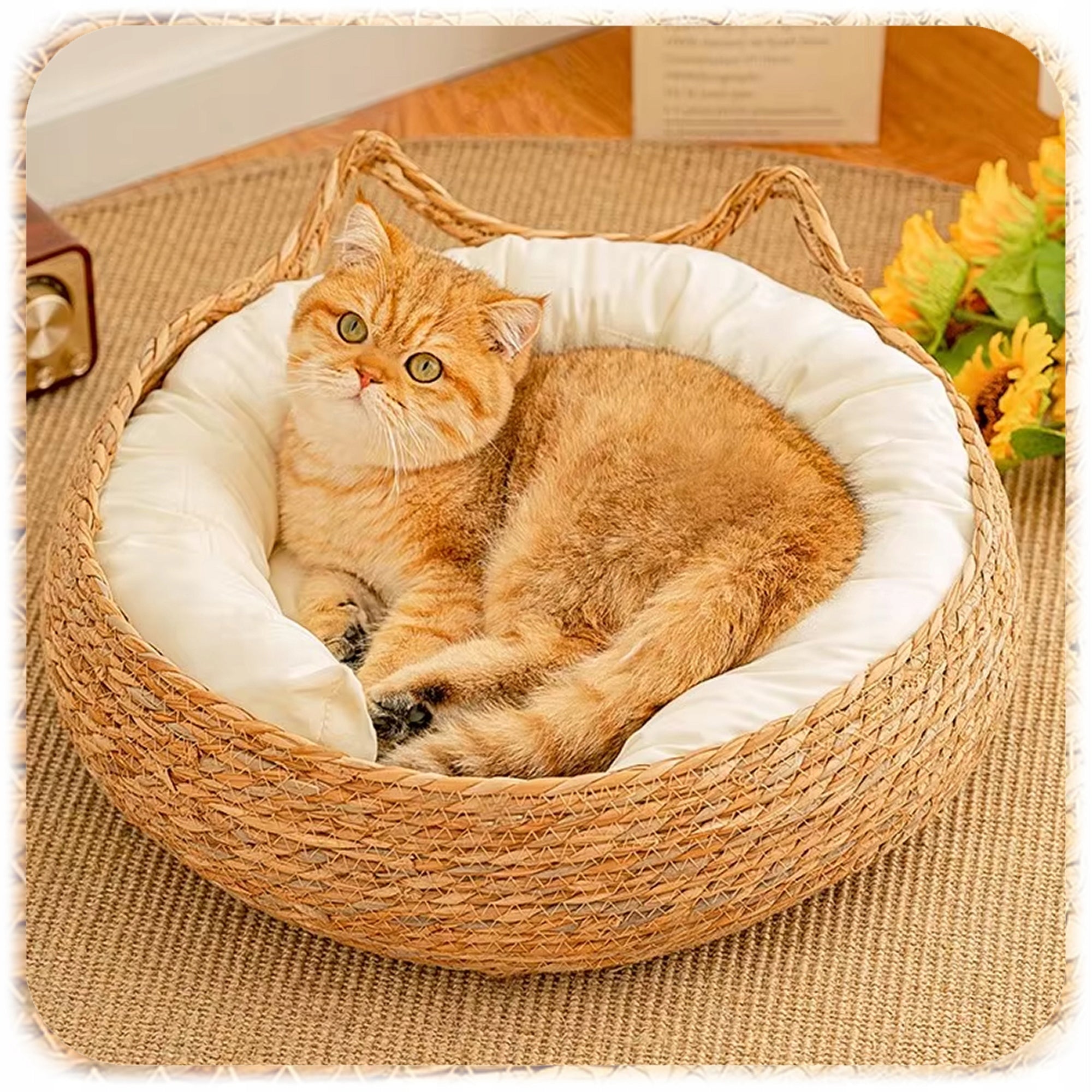 DOG CAT BED BRAIDED COUCH PLAYPEN ROUND 48 CM + PILLOW MAT Length 40 cm