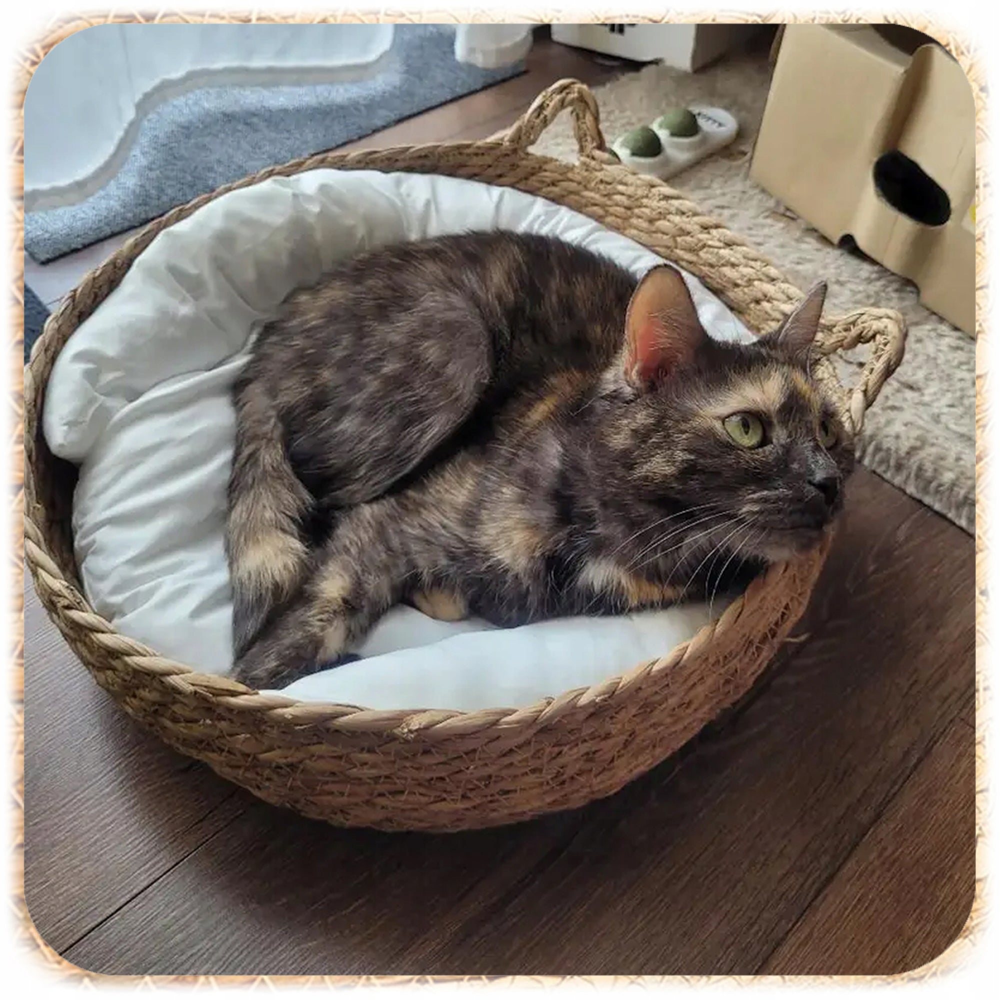 DOG CAT BED BRAIDED COUCH PLAYPEN ROUND 48 CM + PILLOW MAT Manufacturer code 007459