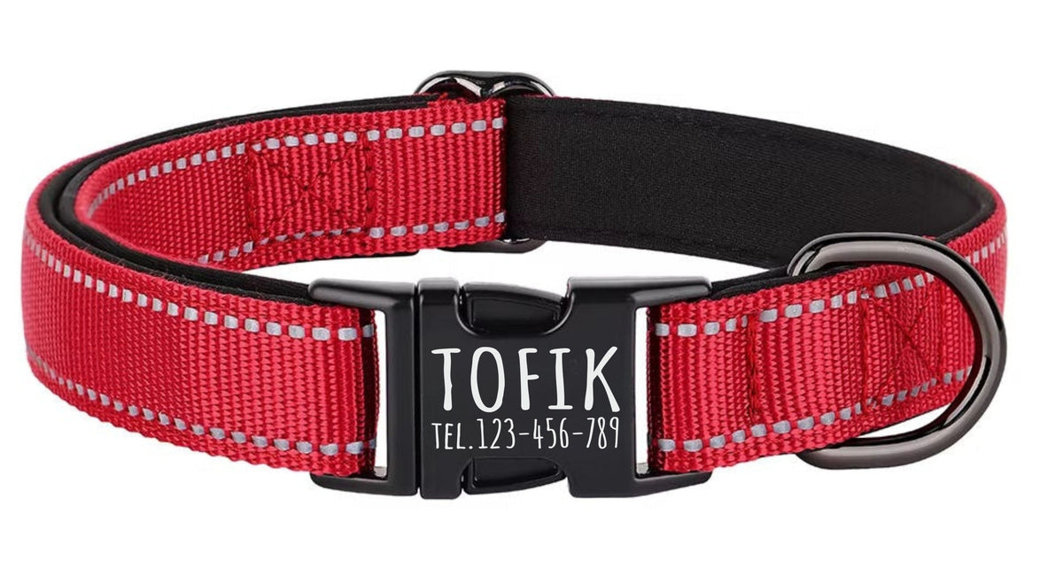 DOG COLLAR Strong REFLECTIVE ID Address + ENGRAVING / Roz. S Packaging status original