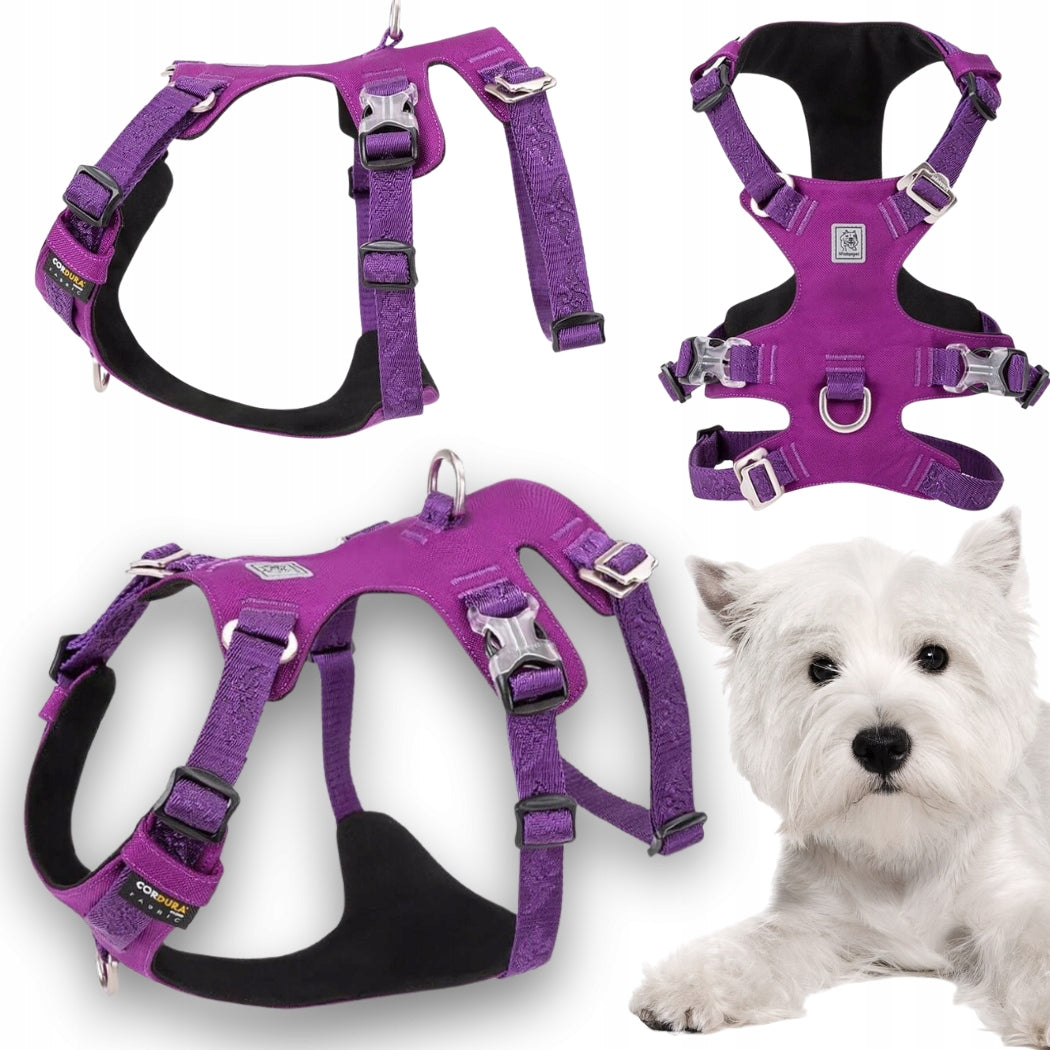 DOG HARNESS ANTI-ESCAPE WATERPROOF WINHYEPET ESCAPE SOFT PURPLE S